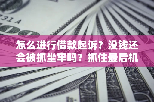 北京怎么进行借款起诉？没钱还会被抓坐牢吗？抓住最后机会！