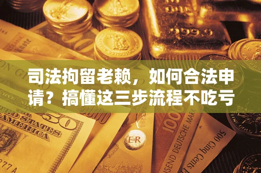 北京司法拘留老赖，如何合法申请？搞懂这三步流程不吃亏！
