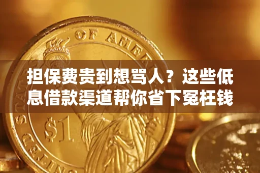 北京担保费贵到想骂人？这些低息借款渠道帮你省下冤枉钱