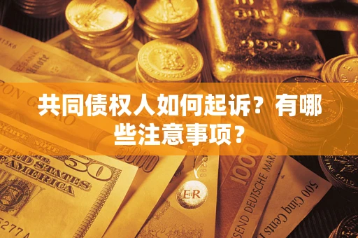 北京共同债权人如何起诉？有哪些注意事项？