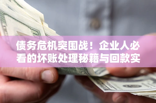 北京债务危机突围战！企业人必看的坏账处理秘籍与回款实战指南